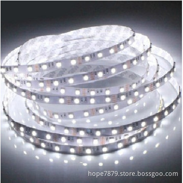 12V/24V 60LEDs/M SMD 3528 LED Strip Lighting